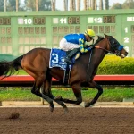 Rebel Stakes On March 1 Major Stepping Stone For Kentucky Derby