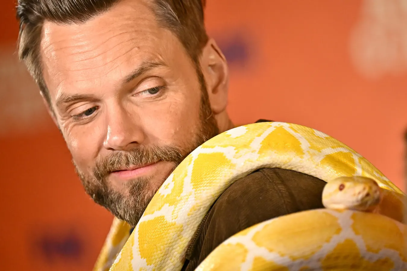 ‘Animal Control’ Renewed, But Is It Really A ‘Hit’?