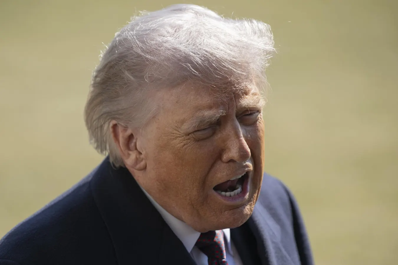 Trump Directs Government To Drop Anthropic After Pentagon Dispute