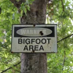 Has Bigfoot Finally Been Debunked?