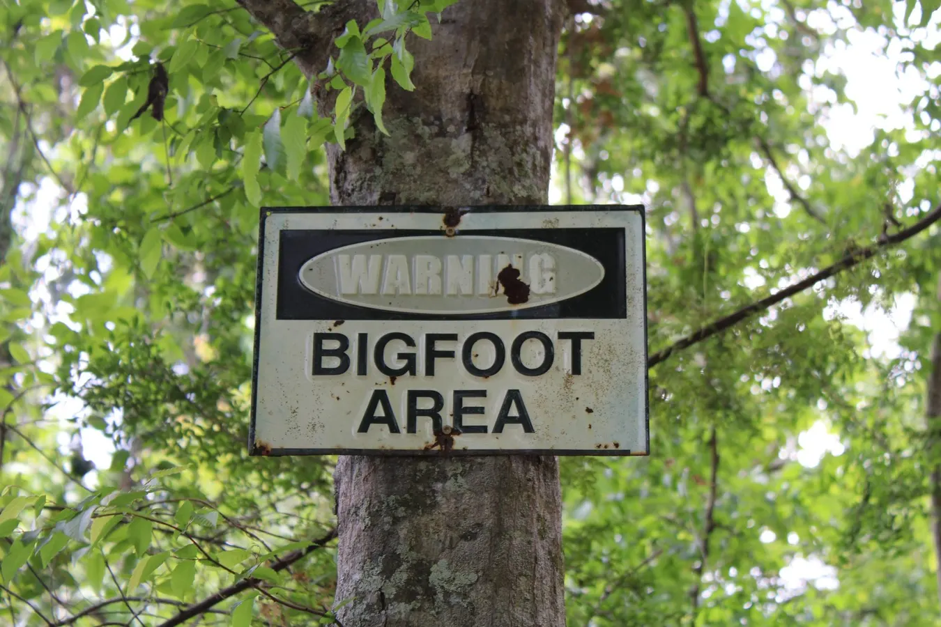 Has Bigfoot Finally Been Debunked?