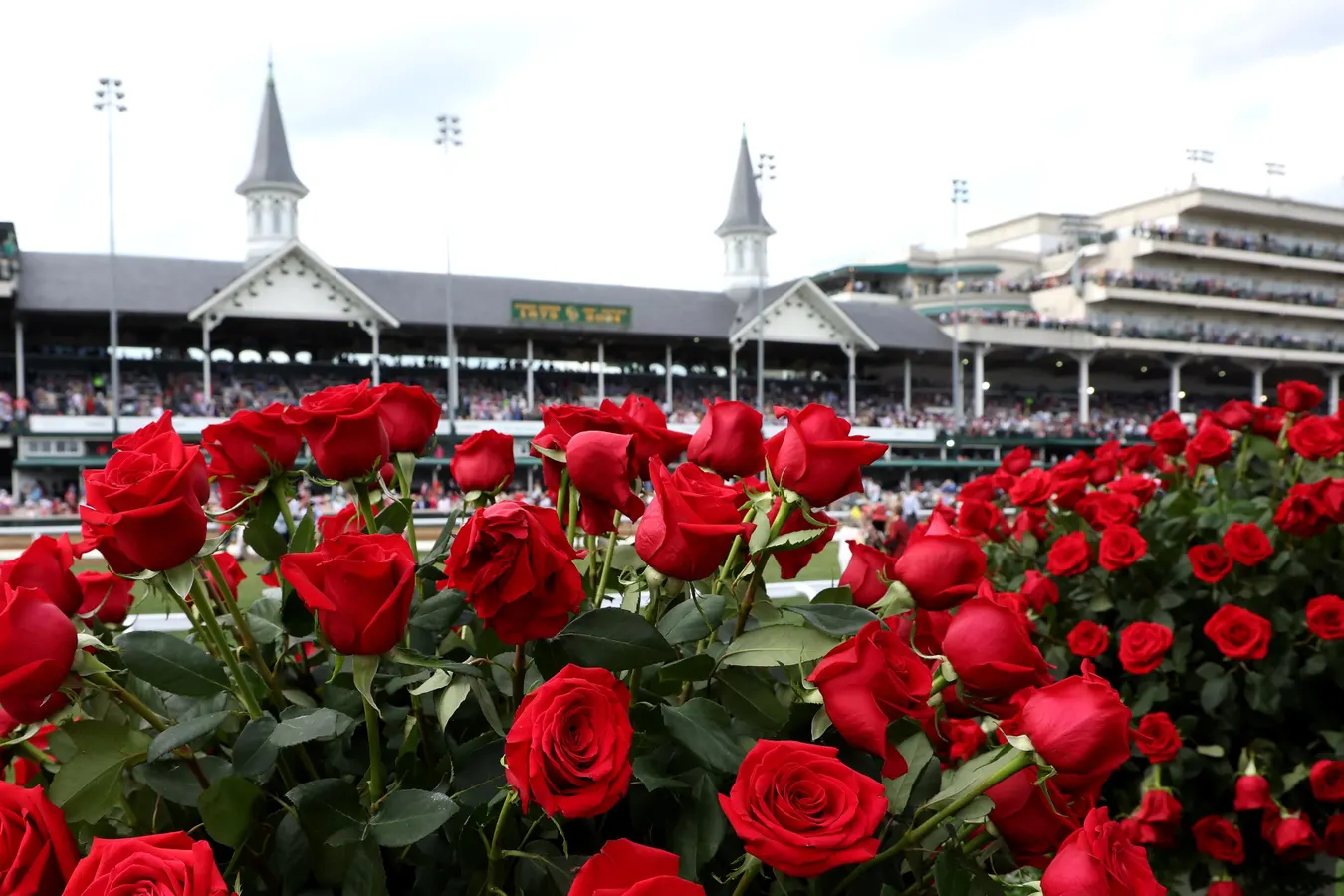 How Kentucky’s Elite Breeders Craft a Triple Crown Contender
