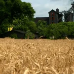 Why Maker’s Mark Wants To Be The First Regenified Certified Distillery