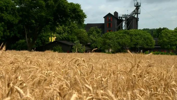 Why Maker’s Mark Wants To Be The First Regenified Certified Distillery