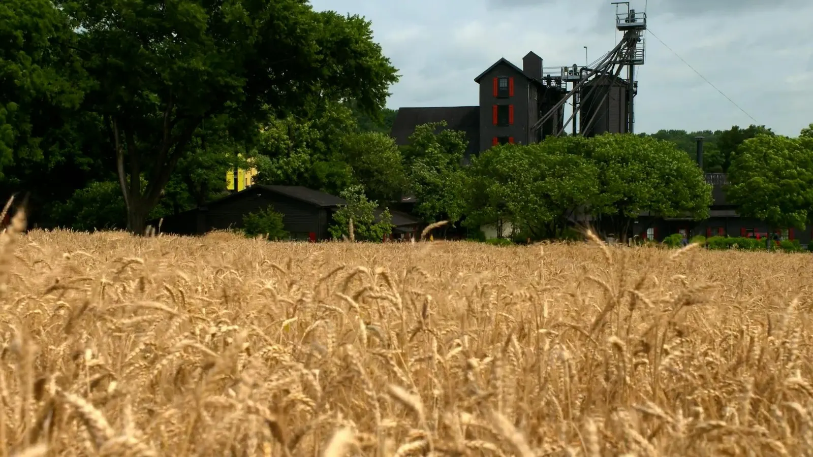 Why Maker’s Mark Wants To Be The First Regenified Certified Distillery