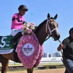 Kentucky Oaks A Showcase For Three-Year-Old Fillies