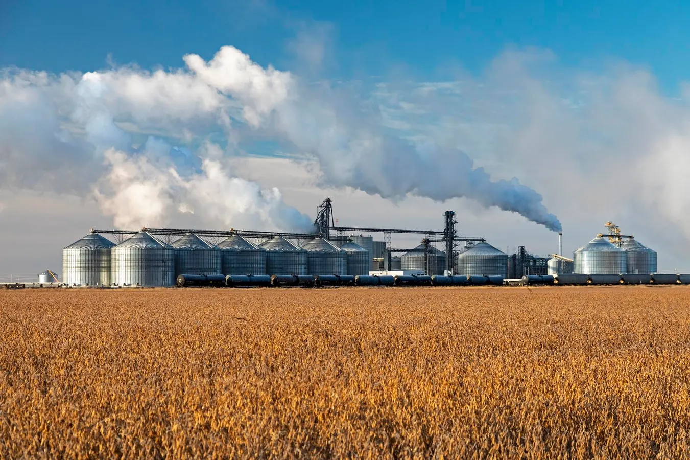 Farm Bill Amendment Pits Big Refiners Against Smaller Operations