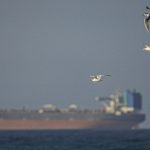 Middle East war fallout hits consumers worldwide — RT Business News