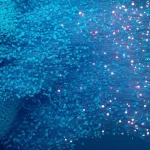 AI Agent Drift: The Boardroom’s Real Problem