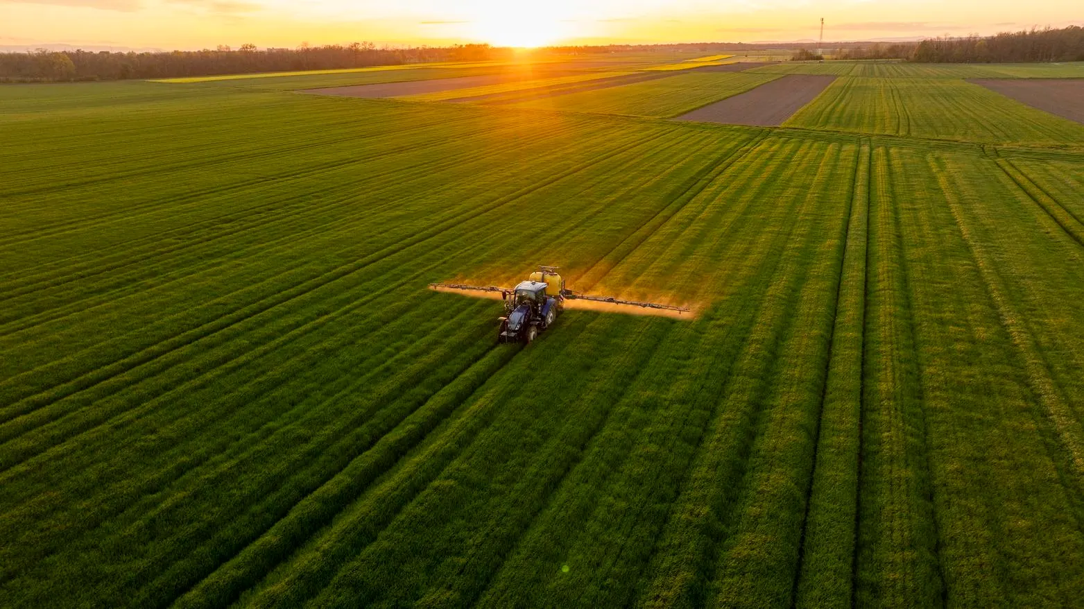 Expect Deadly Food Scarcity And Price Hikes