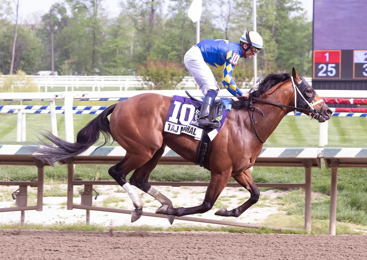 Laurel Park Hosts Historic Running, Full Field Analysis