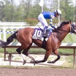 How To Watch The 2026 Preakness Stakes On TV And Streaming