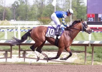 How To Watch The 2026 Preakness Stakes On TV And Streaming