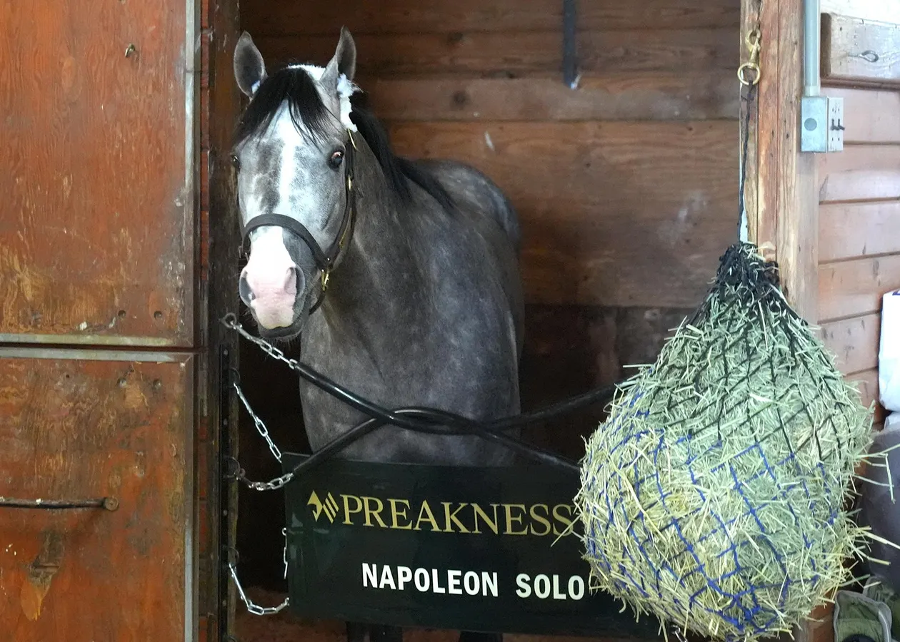 Napoleon Solo Conquers Preakness And Wins Second Leg Of Triple Crown