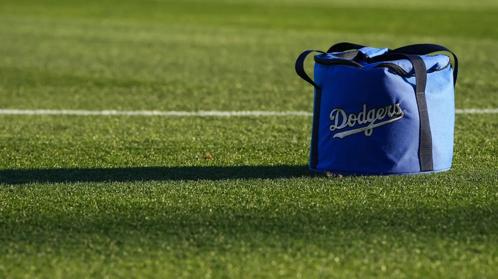Dodgers Weigh Groundbreaking Surgery After Losing 2 Million Star
