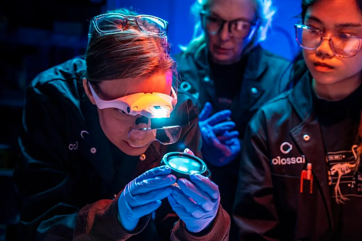 Colossal Unveils Artificial Egg Incubator To De-Extinct Giant Moa
