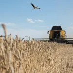 Back To Basics For Global Grain And Steel