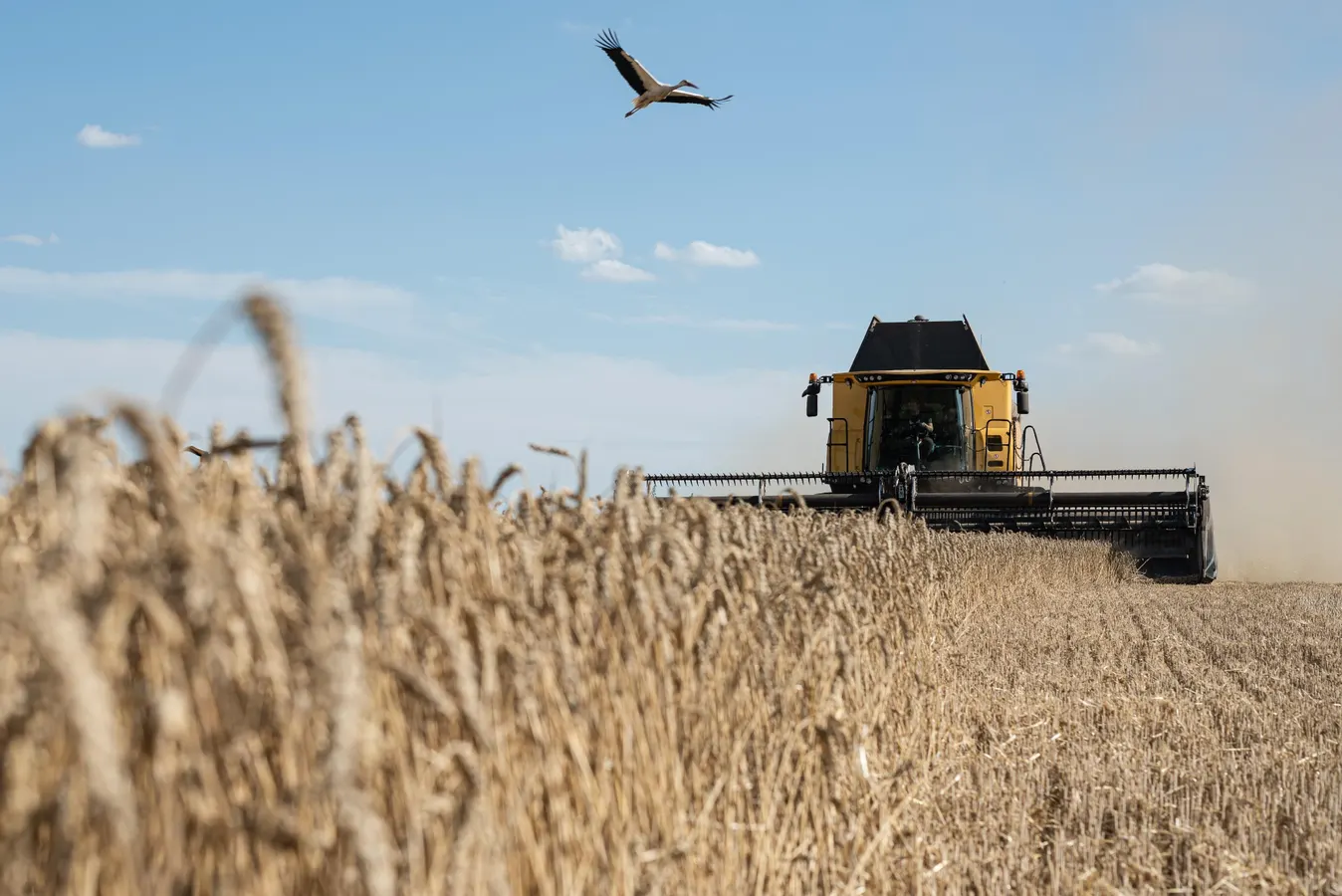 Back To Basics For Global Grain And Steel