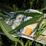 Cannabis Companies Were Taxed Like Drug Traffickers For Years. A New Federal Order Could Unlock Billions