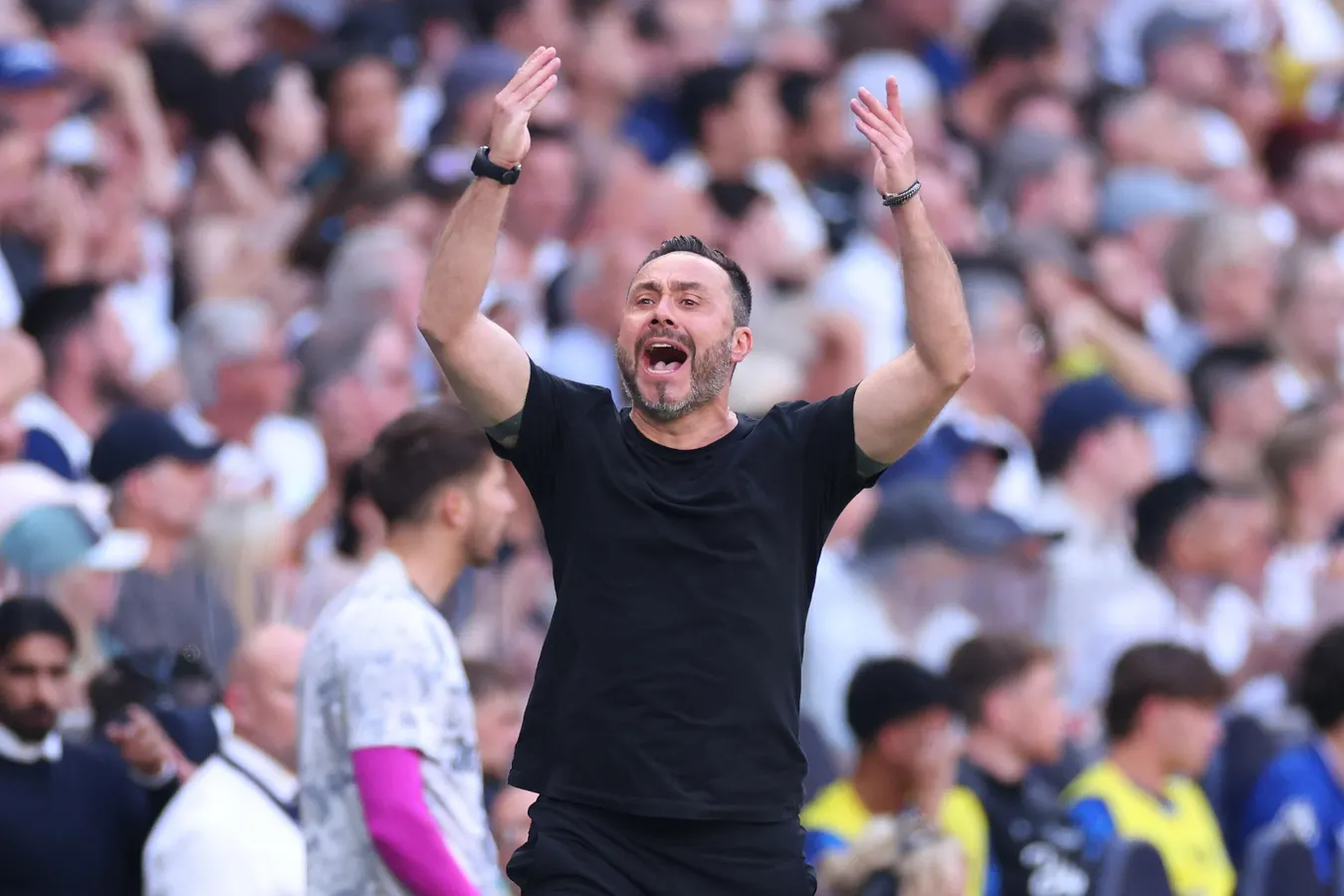 Tottenham Must Use Premier League Survival As A Catalyst