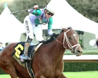 Renegade Getting Ready To Rumble In Belmont Stakes