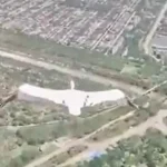 How A Ukrainian Stork Outflew A Russian Drone, And What This Tells Us