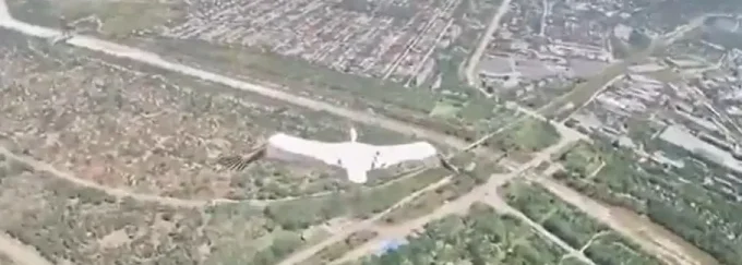 How A Ukrainian Stork Outflew A Russian Drone, And What This Tells Us