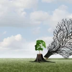 How To Start Over… Again And Again