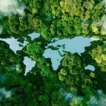 The World Around Us Shapes The Health Within Us