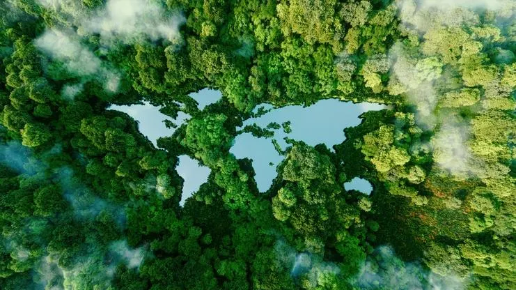 The World Around Us Shapes The Health Within Us