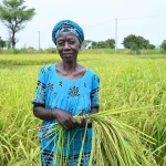 Why The Case For Sourcing From Africa Has Never Been Stronger, And Still Gets Ignored