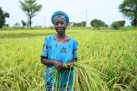 Why The Case For Sourcing From Africa Has Never Been Stronger, And Still Gets Ignored