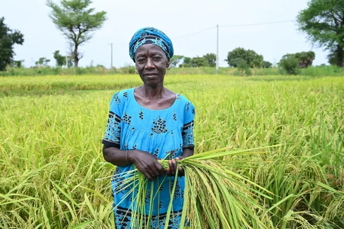 Why The Case For Sourcing From Africa Has Never Been Stronger, And Still Gets Ignored