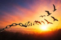 A Potential Fix To The Executive Clemency Disaster