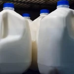 Idaho Campylobacteriosis Outbreak Linked To Raw Milk