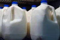 Idaho Campylobacteriosis Outbreak Linked To Raw Milk