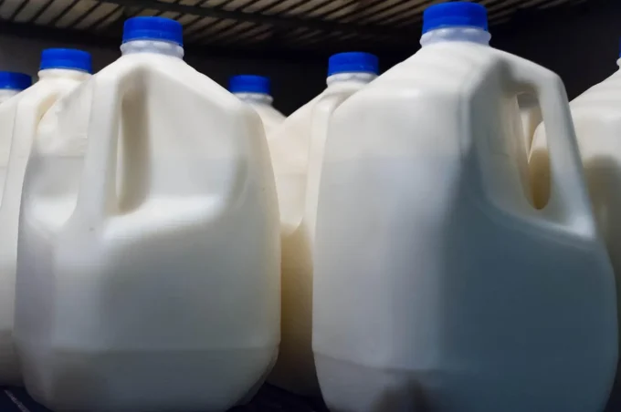 Idaho Campylobacteriosis Outbreak Linked To Raw Milk