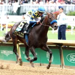 Meet The Nine Runners In The Grade 1 Woody Stephens Stakes