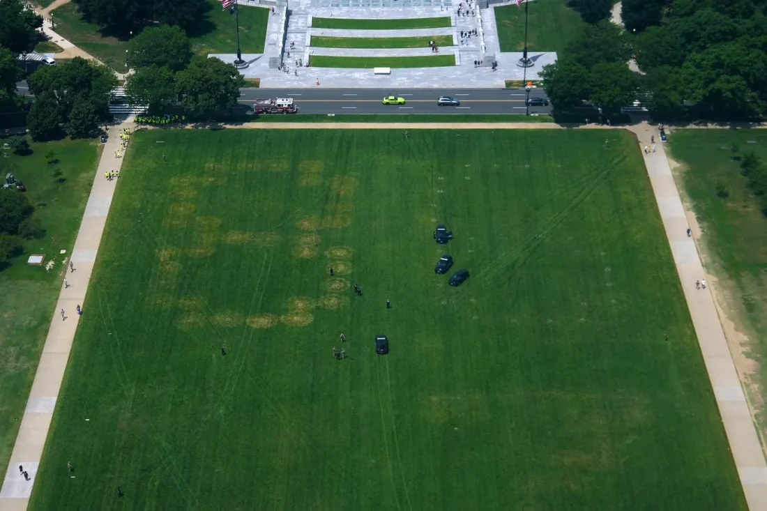 Officials Investigate ‘86 47’ Markings Etched Into National Mall