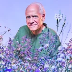 Seed Giant Burpee Wants Americans To Garden Like Its 1776