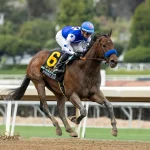 Nysos Running Towards Breeders Cup After Dominant Met Mile Win