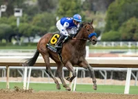 Nysos Running Towards Breeders Cup After Dominant Met Mile Win
