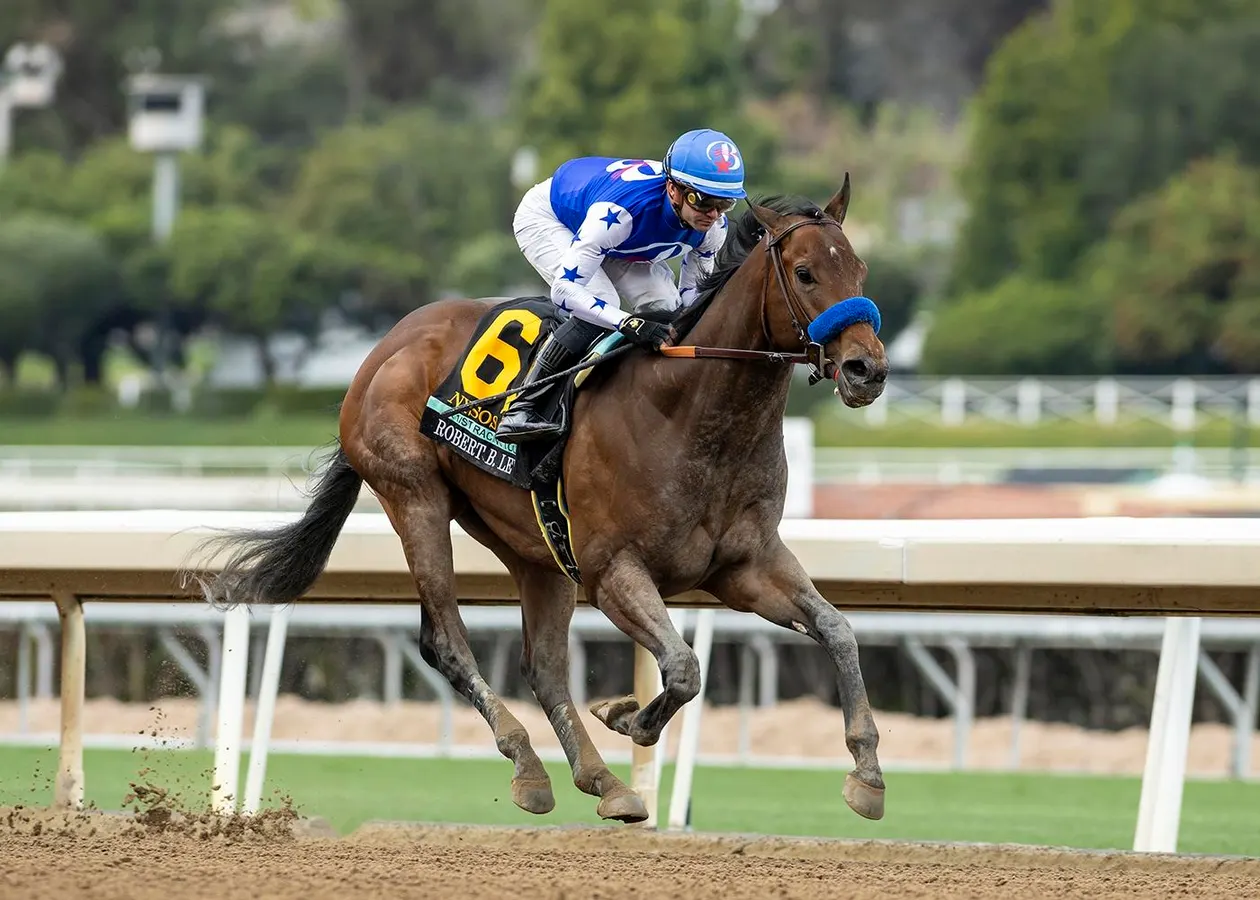 Nysos Running Towards Breeders Cup After Dominant Met Mile Win