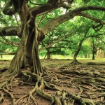 Good Intentions Aren’t Enough: Scaling Business Values