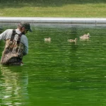 Reflecting Pool Green Again After Trump’s  Million Renovation