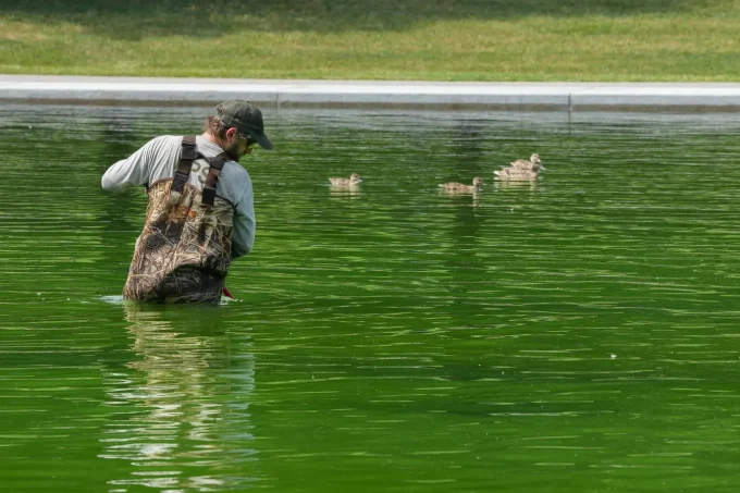 Reflecting Pool Green Again After Trump’s  Million Renovation