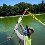 Green Reflecting Pool Treated With Hydrogen Peroxide (Photos)