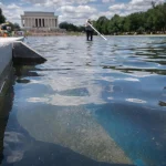 Reflecting Pool Might Be Drained Again To Fix Damage, Trump Says