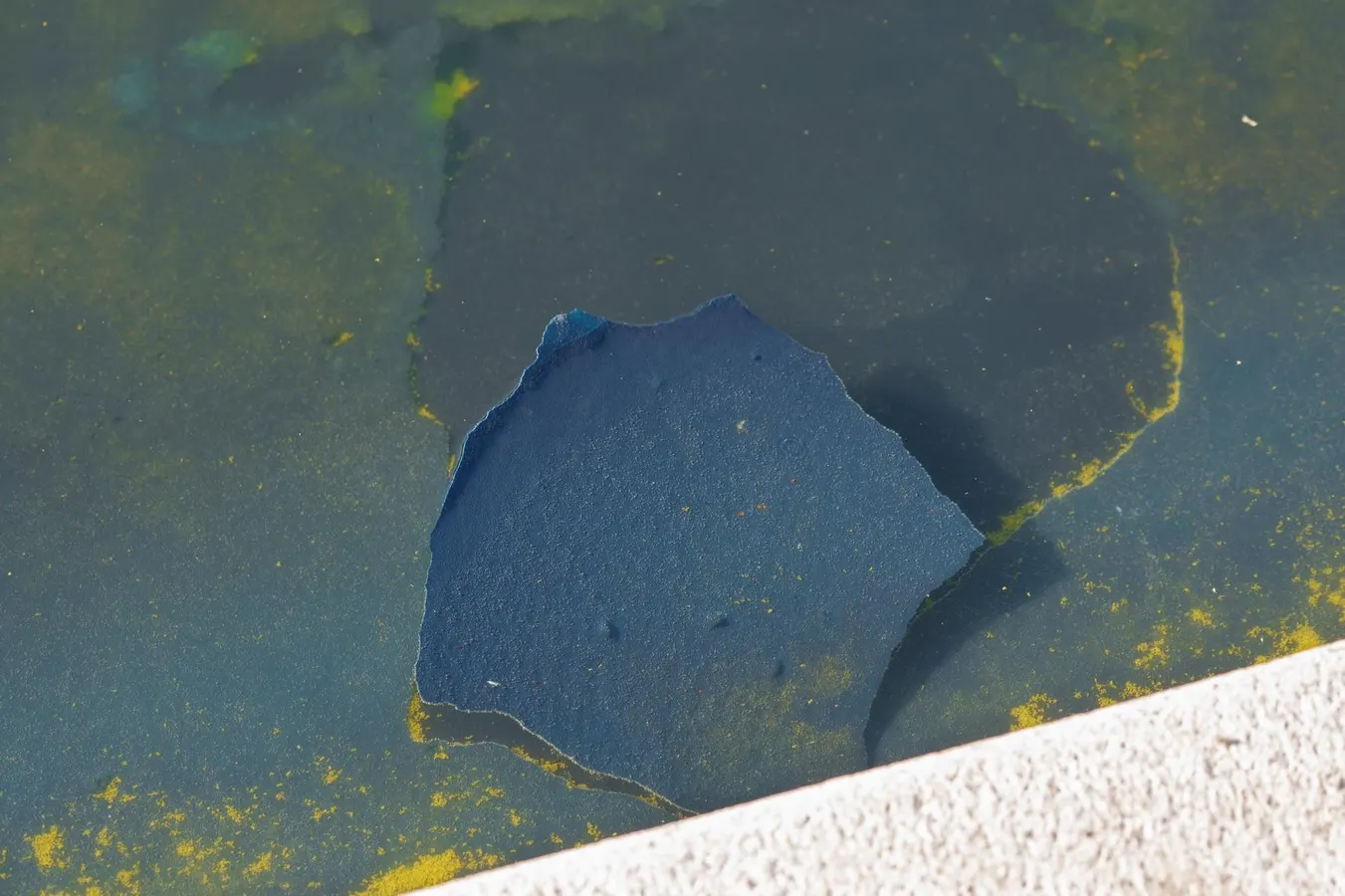Trump Threatens ABC News Lawsuit As He Doubles Down On Reflecting Pool Vandalism Claims