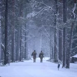 Finland’s AI And Total Defense Model